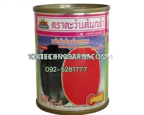 แตงโมกินรี K-3   40 กรัม